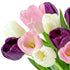 (20 Benchmark Bouquets Seasonal Tulip Mix Mothers Day Flowers for Delivery Fresh Cut Tulips for Mom Pink White Purple