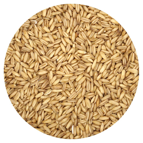 Whole Oat Groats, 3 Pound Bulk Bag, Oatmeal, Breakfast, Hampton Distribution
