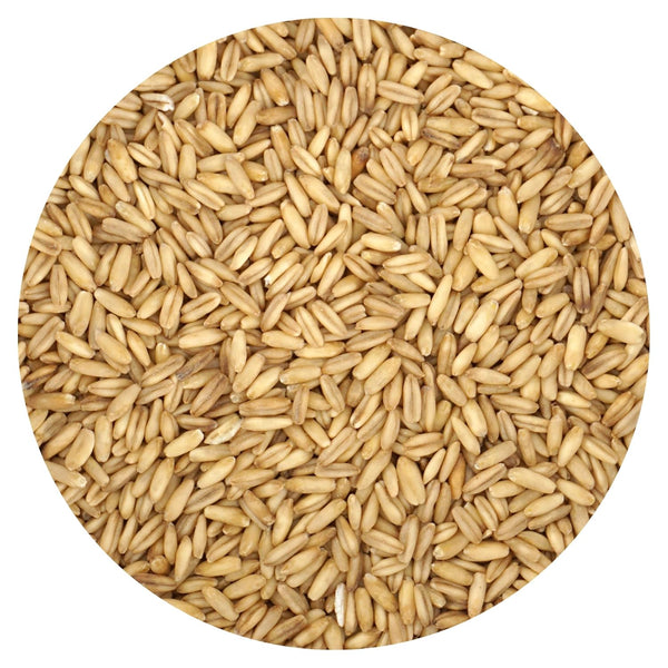 Whole Oat Groats, 3 Pound Bulk Bag, Oatmeal, Breakfast, Hampton Distribution