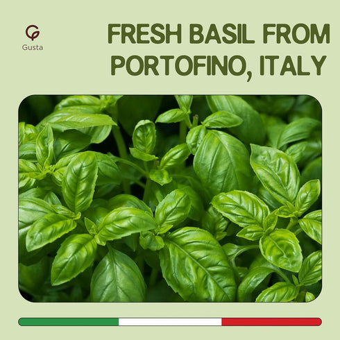 6.35 oz Imported Italian Fresh Basil Pesto Sauce - Extra Creamy - Extra Virgin Olive Oil, Cheese & Nuts - Delicious