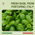 6.35 oz Imported Italian Fresh Basil Pesto Sauce - Extra Creamy - Extra Virgin Olive Oil, Cheese & Nuts - Delicious
