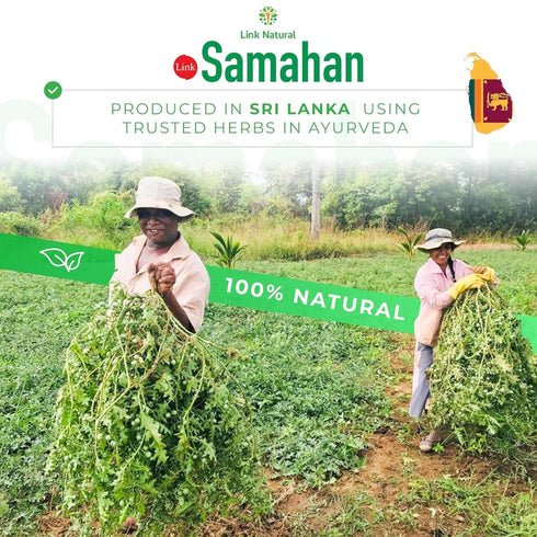 Packets 14 60 Count SAMAHAN Ayurvedic Herbal Tea - Sri Lankan Ceylon Blend with Natural Herbs Including Ginger, Black