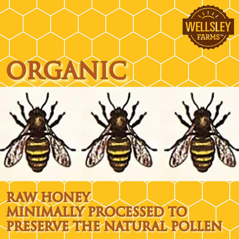 Wellsley Farms 100% 24 oz Organic Raw Honey, Pure, USDA Certified Bottle.