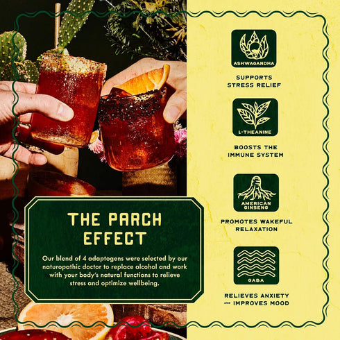 Pack, (8.4 oz 8 pack) PARCH Desert Margarita + Prickly Paloma Variety Ready to Drink Non Alcoholic Agave Cocktail