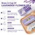 80 100% LeafLea Premium Lavender Tea Bags, Natural & Pure from Lavender Flowers, Nighttime Comfort & Digestive Support