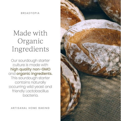 Breadtopia Sourdough Starter | Made from Organic & Non-GMO Ingredients | Easy to Follow Instructions | Make Homemade