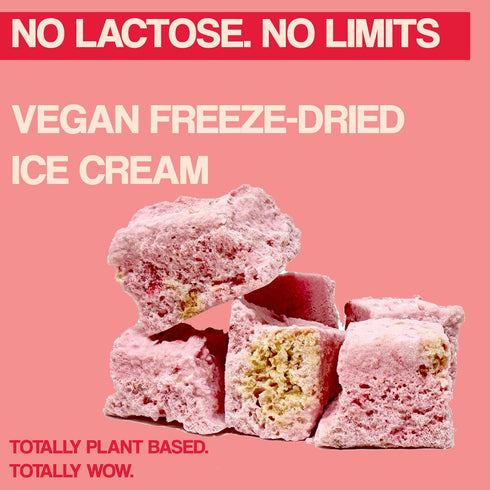 2 Vegan Freeze Dried Ice Cream, Freeze Dried Strawberry Shortcake Ice Cream, Dairy-Free Ounce (Strawberry Shortcake)