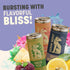 Pack 2 12 oz (6 Pack) GOOD WOLF Probiotic Refresher Variety Sparkling Soda with Ginger Yuzu, Oregon Marionberry