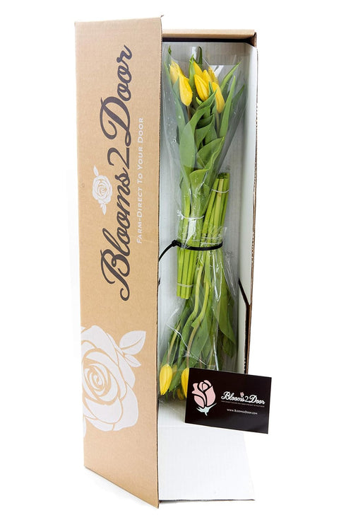 Blooms2Door 20 PRIME NEXT DAY DELIVERY - Yellow Tulips .Gift for Birthday, Sympathy, Anniversary, Get Well, Thank You