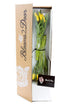 Blooms2Door 20 PRIME NEXT DAY DELIVERY - Yellow Tulips .Gift for Birthday, Sympathy, Anniversary, Get Well, Thank You
