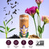 Pack (12 Pack) (5060mg Narra Oat Milk Tea Latte Variety Black Tea, Roasted Oolong & Strawberry Matcha, Smooth Balanced