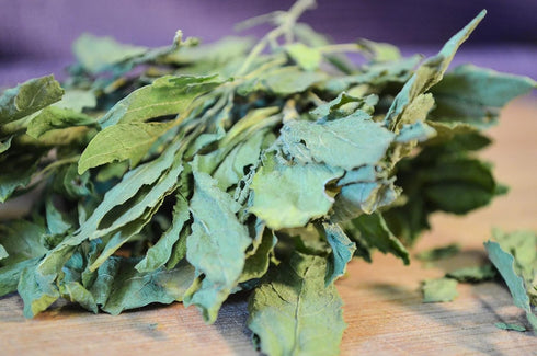 Dried Epazote Leaves and Stems, Natural Mexican Herbs, 2 oz and 4 oz