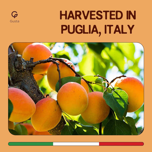 2 8.82oz Gusta Apricot Jam Preserve - Made in Italy Fruit Preserve & Jam - Only Ingredients - Perfect Apricot Jam