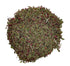 Scarlet Beebalm Herbal Tea, Mountain Balm Herb with Flowers - Made from 100% Monarda Didyma, Cut & Dried - Net weight: 0.5oz/14.2g