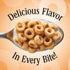 Cereal,Cinnamon,8g Size,15 oz,(Pack 2) Cheerios Protein Protein,Family
