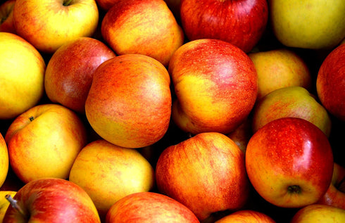 Apple Pectin 4 Ounces (USP Qualified) - 114 Grams