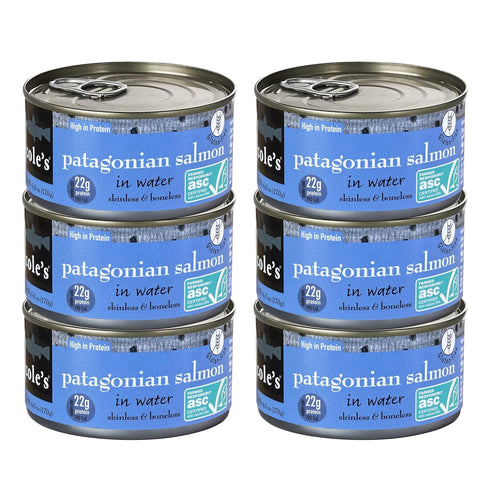 COLES PATAGONIAN SALMON IN SPRING WATER 6 PACK - Fresh Caught, Never