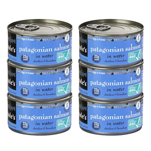 COLES PATAGONIAN SALMON IN SPRING WATER 6 PACK - Fresh Caught, Never