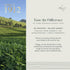 100g (50 Luxmi Estates - Orange Spice - Black Darjeeling Tea - Loose Leaf - cups) | Special Edition Autumn Tea |