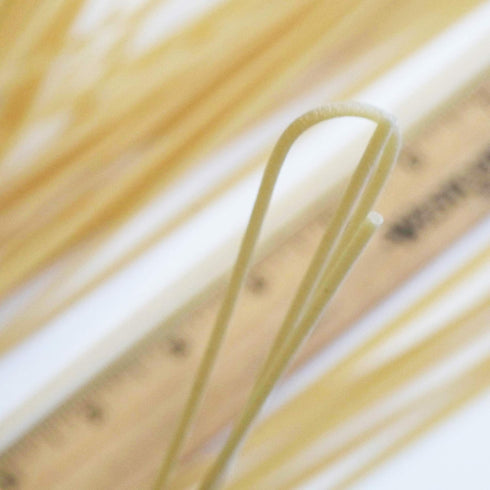 Pastai Gragnanesi 17.6 500 Pack 4 Spaghetti Organic Italian Pasta di Gragnano | I.G.P. Protected | Ounce | Gram |