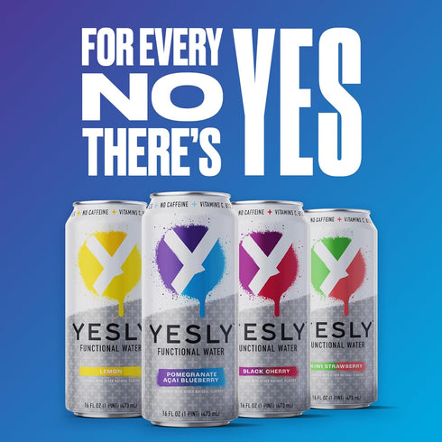 Pack, B6 B12, 16 Oz 12 Pack Yesly Functional Water, Variety Naturally Flavored Still Water with Electrolytes