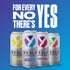 Pack, B6 B12, 16 Oz 12 Pack Yesly Functional Water, Variety Naturally Flavored Still Water with Electrolytes