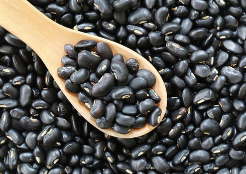15 Food to Live Black Turtle Beans, Pounds Whole Dried Beans, Sproutable, Vegan, Kosher, Bulk. Low Sodium. Great Source