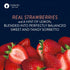 talenti Summer 1 Dairy-Free Sorbetto for Your Next Indulgence, Strawberry with Real Strawberries in Each Jar, pint
