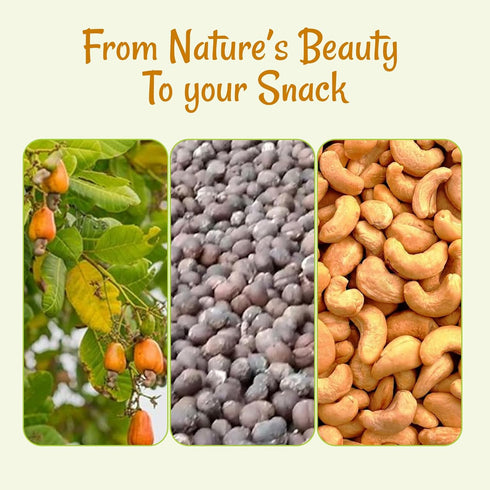 2 lb Packed Oh! Nuts Cashews Roasted Unsalted - - Dry Roasted Unsalted Cashews - in New York Zip-Seal Bag