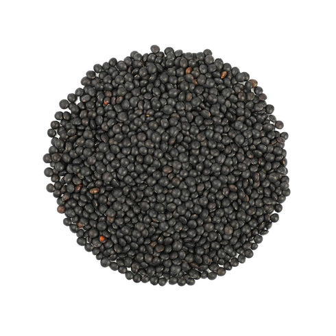 1 Food to Live Organic Black Lentils, Pound Non-GMO, Whole Dry Pulses, Raw, Sproutable, Kosher, Vegan, Bulk Legumes