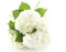 KaBloom Flowers - Mother's Day Collection - Bouquet of Fresh 5 White
