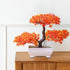 Stunning Red Flower Bonsai in Elegant Pot - Perfect Gift Idea