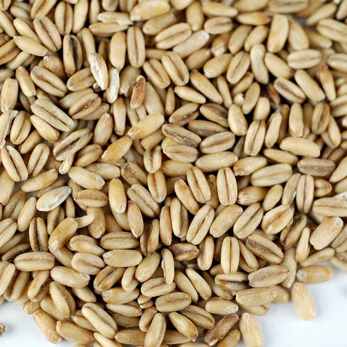 5 Lbs Organic Hulled Oat Groats (Hull Removed): - Non-GMO Oats - Cereal Grain - Emergency Food Storage, Grains, Rolling