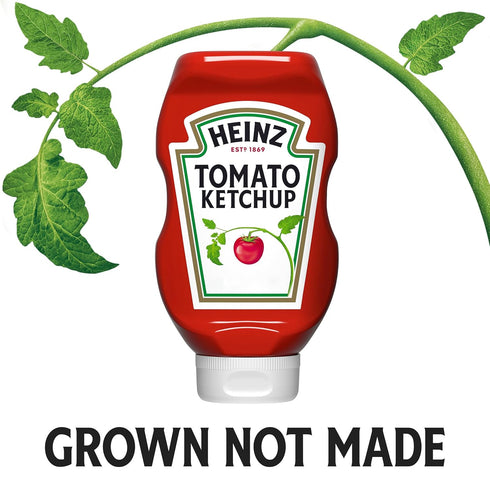 20 oz Heinz Tomato Ketchup, Bottle