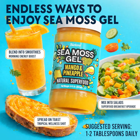 8oz Biolore Sea Moss Gel Mango Pineapple Flavored Superfood with Natural Electrolytes Wildcrafted Mango Jam Sea Moss
