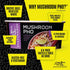 2.1 oz (6 Pack) Snapdragon Mushroom Pho Instant Noodle Bowls | Mushroom Flavor Broth with Rice Noodles | Gluten Free |