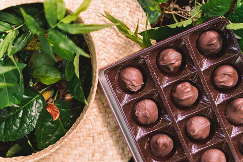Hawaiian Host 7 Oz Founders Collection - Dark Chocolate Macadamia Nuts - Gift Box