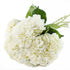 5 KaBloom Flowers - Mother's Day Collection - Bouquet of Fresh White Hydrangeas Without Vase - Gift for Birthday