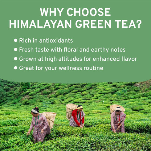 170+ (12oz) VAHDAM, Green Tea Leaves From Himalayas Cups High Elevation Grown Green Tea Leaves From Himalayas | Pure
