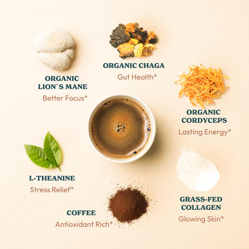 (30 Mushroom Coffee with Collagen - Caramel Blend Adaptogenic Instant Coffee for Energy, Focus, & Mental Clarity