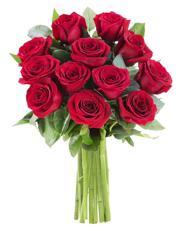 KaBloom - The Romantic Classic Bouquet of 12 Fresh Red Roses -