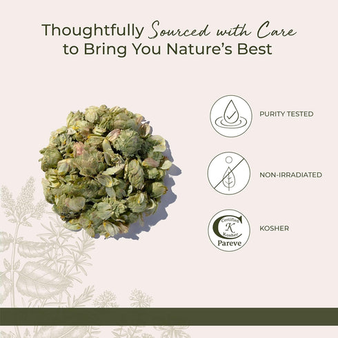 4 oz Starwest Botanicals Dried Hops Flowers Whole - Herb for Hot Water & Tea, Use in Herbal Blends, Natural Pine
