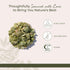 4 oz Starwest Botanicals Dried Hops Flowers Whole - Herb for Hot Water & Tea, Use in Herbal Blends, Natural Pine