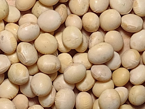 5 lbs., Organic Soybeans- nonGMO, Farmer Direct, Identity Preseved, Dry Soybeans for Tofu and Soymilk.