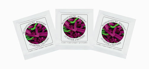 Yogurt Starter Cultures - Pack of 3 Freeze-dried Culture Sachets for Acidophilus
