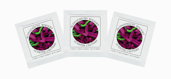 Yogurt Starter Cultures - Pack of 3 Freeze-dried Culture Sachets for Acidophilus