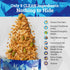 2LB Ladera Vanilla Quinoa Granola - Nut Free Low Sugar Breakfast Cereal, Gluten Free & Vegan, Honest Ingredients