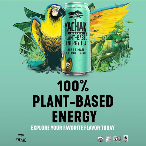 Yachak Packaging 16 Oz, Pack 12 Yerba Mate Drink, Ultimate Mint, May Vary, Fl