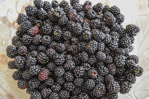 RawJoy 1 Fresh Delicious Blackberries by Farms, Pound