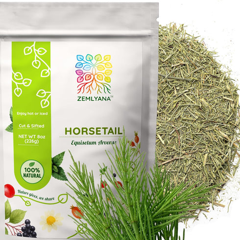 Horsetail Tea - Cut & Sifted Horse Tail Grass Herb - Cola